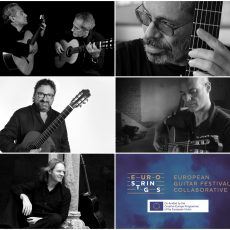 ambassadors-eurostrings